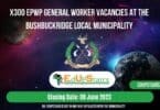 X300 EPWP GENERAL WORKER VACANCIES AT THE BUSHBUCKRIDGE LOCAL MUNICIPALITY | APPLY WITH GRADE 12