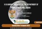 X16 VARIOUS VACANCIES AT THE DEPARTMENT OF EMPLOYMENT AND LABOUR CLOSING 14 AUGUST 2023