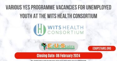 VARIOUS YES PROGRAMME VACANCIES FOR UNEMPLOYED YOUTH AT THE WITS HEALTH CONSORTIUM