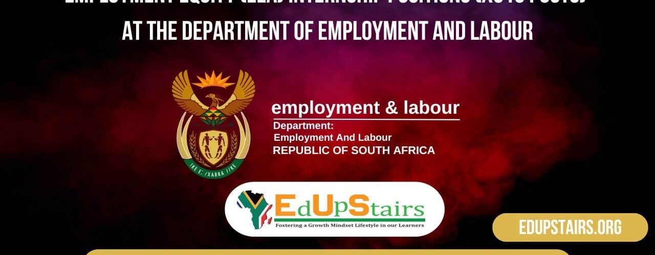Employment Equity (EEA) Internship Positions (X513 Posts) at the Department of Employment and Labour