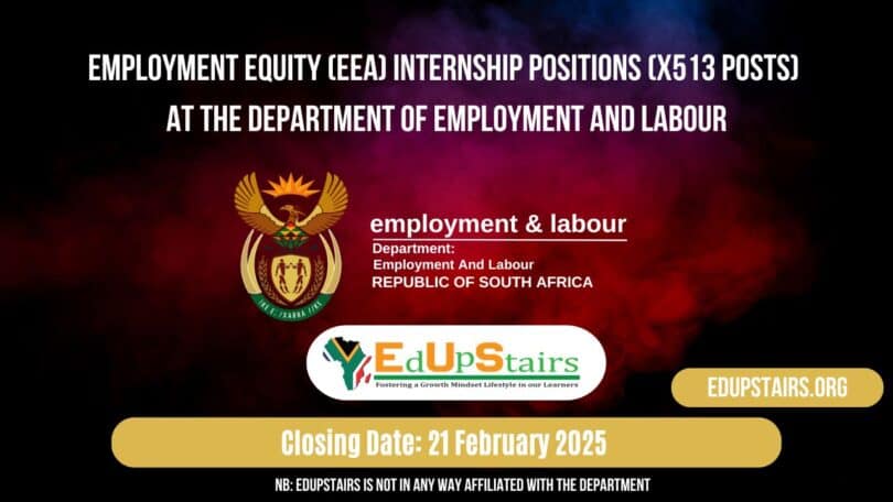 Employment Equity (EEA) Internship Positions (X513 Posts) at the Department of Employment and Labour