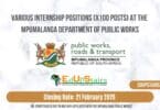 Various Internship Positions (X100 Posts) at the Mpumalanga Department of Public Works