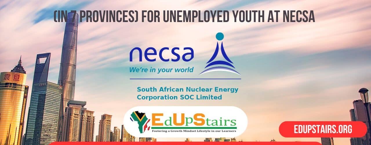 Work-Integrated Learning (WIL) Opportunities (in 7 Provinces) for Unemployed Youth at NECSA