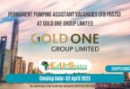Permanent Pumping Assistant Vacancies (X9 Posts) at Gold One Group Limited