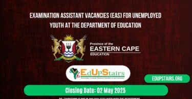 Examination Assistant Vacancies (EAs) for Unemployed Youth at the Department of Education