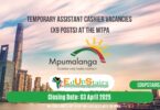 Temporary Assistant Cashier Vacancies (X9 Posts) at the MTPA