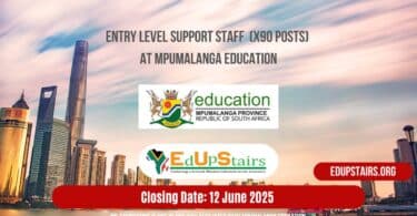 Entry Level Support Staff (X90 Posts) at Mpumalanga Education