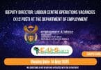 Deputy Director: Labour Centre Operations Vacancies (X12 Post) at the Department of Employment