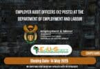 Employer Audit Officers (X2 Posts) at the Department of Employment and Labour