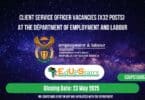 Client Service Officer Vacancies (X32 Posts) at the Department of Employment and Labour