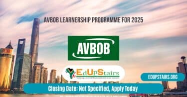 AVBOB Learnership Programme for 2025