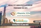 Mogale City Municipality Internship Programme for 2025