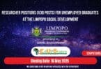 Researcher Positions (X30 Posts) for Unemployed Graduates at the Limpopo Social Development