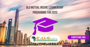 Old Mutual Insure Learnership Programme for 2025