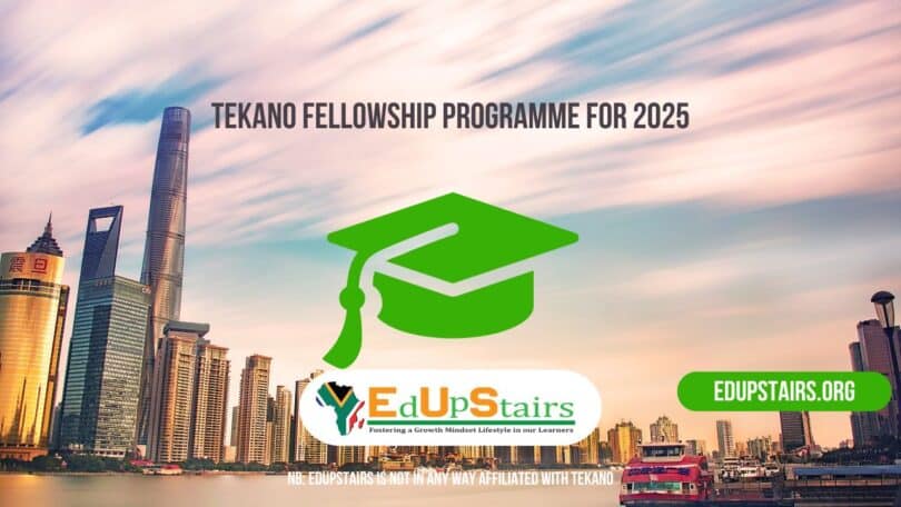Tekano Fellowship Programme for 2025