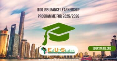 iTOO Insurance Learnership Programme for 2025/2026