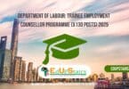 Department of Labour: Trainee Employment Counsellor Programme (X130 Posts) 2025