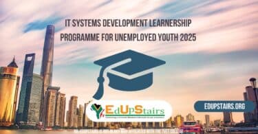IT Systems Development Learnership Programme for Unemployed Youth 2025
