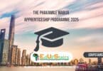 The Phakamile Mabija Apprenticeship Programme 2025