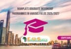Ivanplats Graduate Internship Programmes in Various Fields 2025/2027