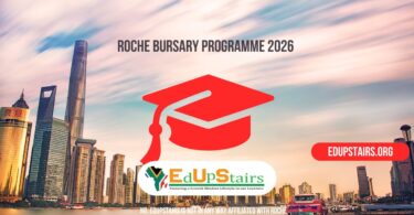 Roche Bursary Programme 2026