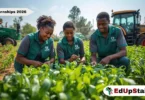 Limpopo LDARD Opens 135 Paid Internships for Unemployed Agricultural Graduates 2026