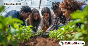 AGRIMARK Operations Ltd: Trade & Services Graduate Training Programme 2026