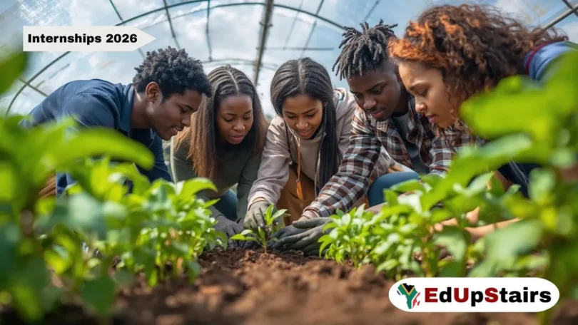 AGRIMARK Operations Ltd: Trade & Services Graduate Training Programme 2026