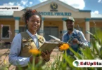 Gamagara Municipality & DFFE Youth Graduate Project (EPWP) 2026 Now Open