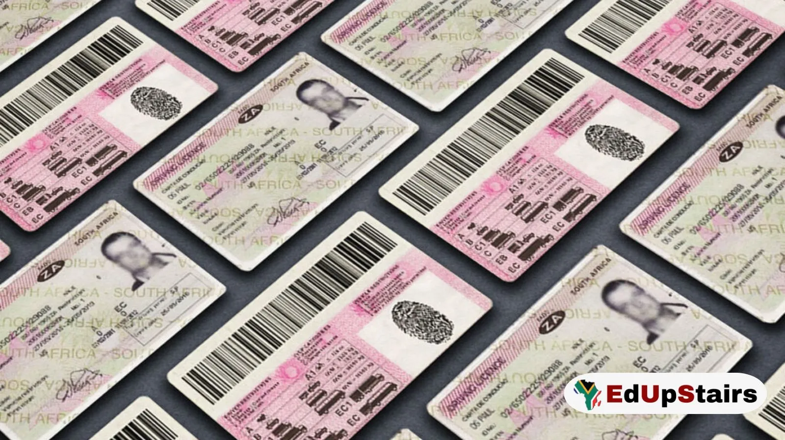 Major Problems With Driver’s Licence Cards in South Africa